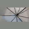 Женский зонтик Rain Brella - полуавтомат №3082